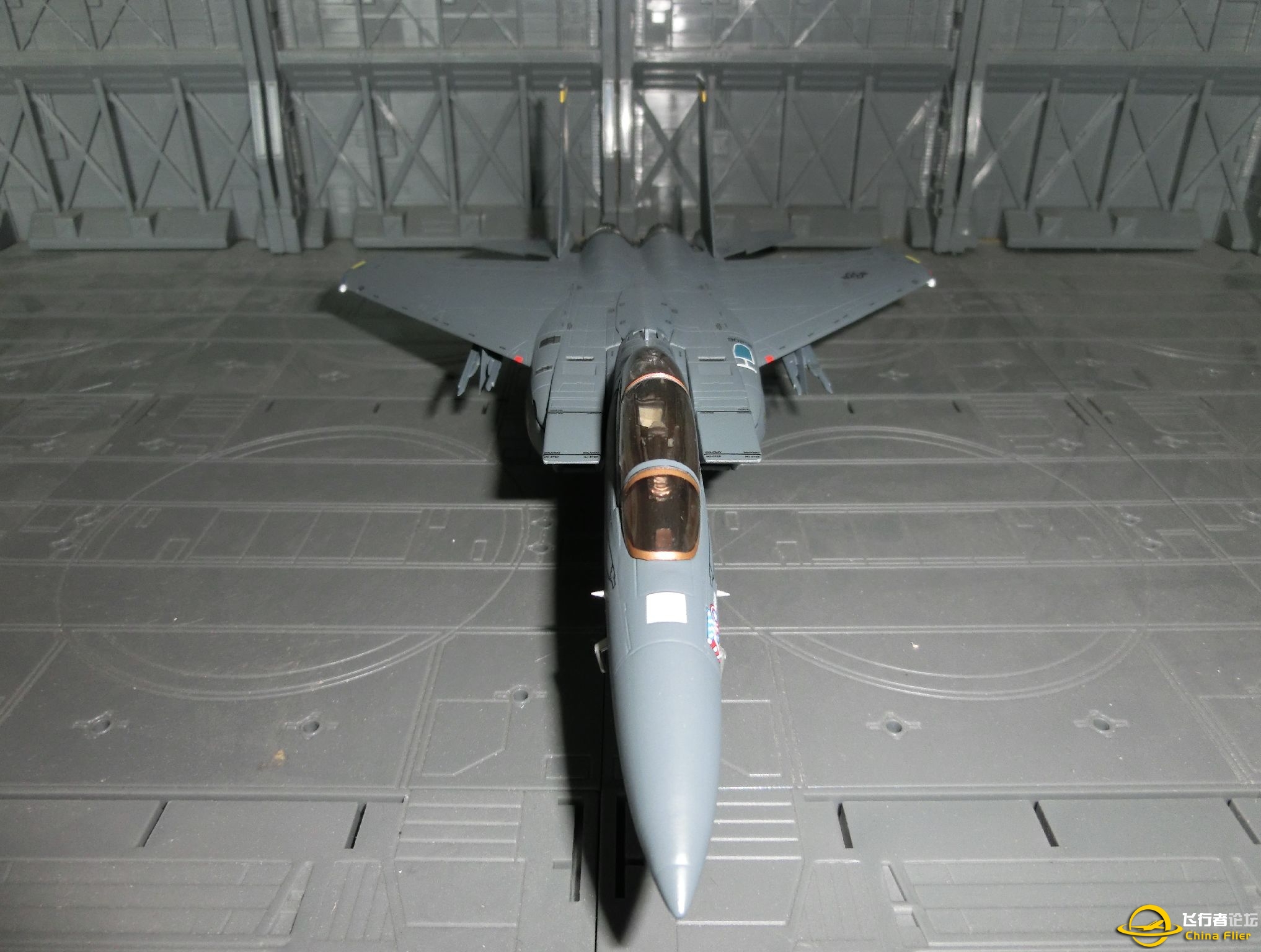 模型赏析测试帖：威龙F-15E-8716 