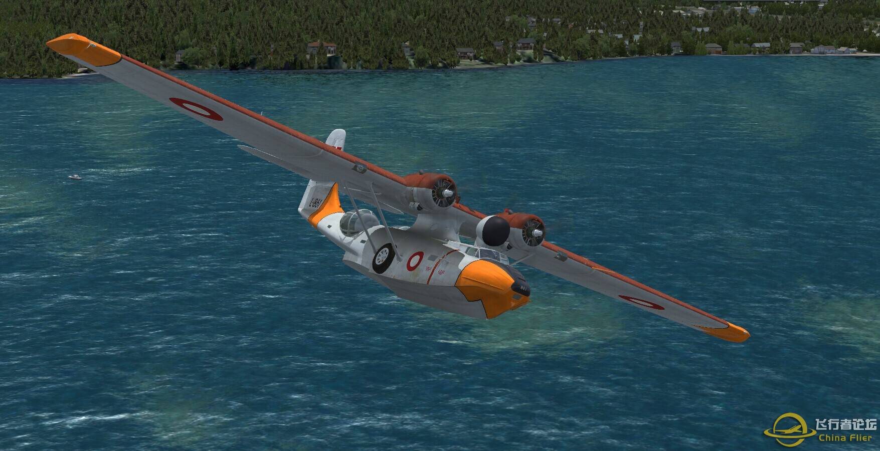 逆戟鲸岛的鲸鱼-9467 