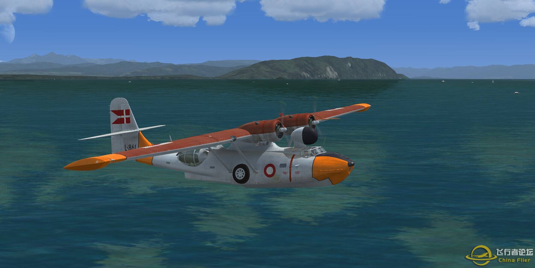 逆戟鲸岛的鲸鱼-4554 