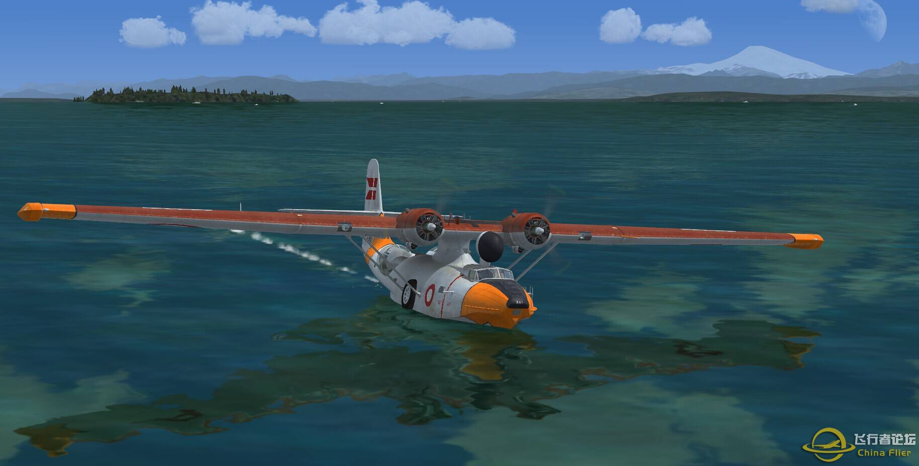 逆戟鲸岛的鲸鱼-1296 