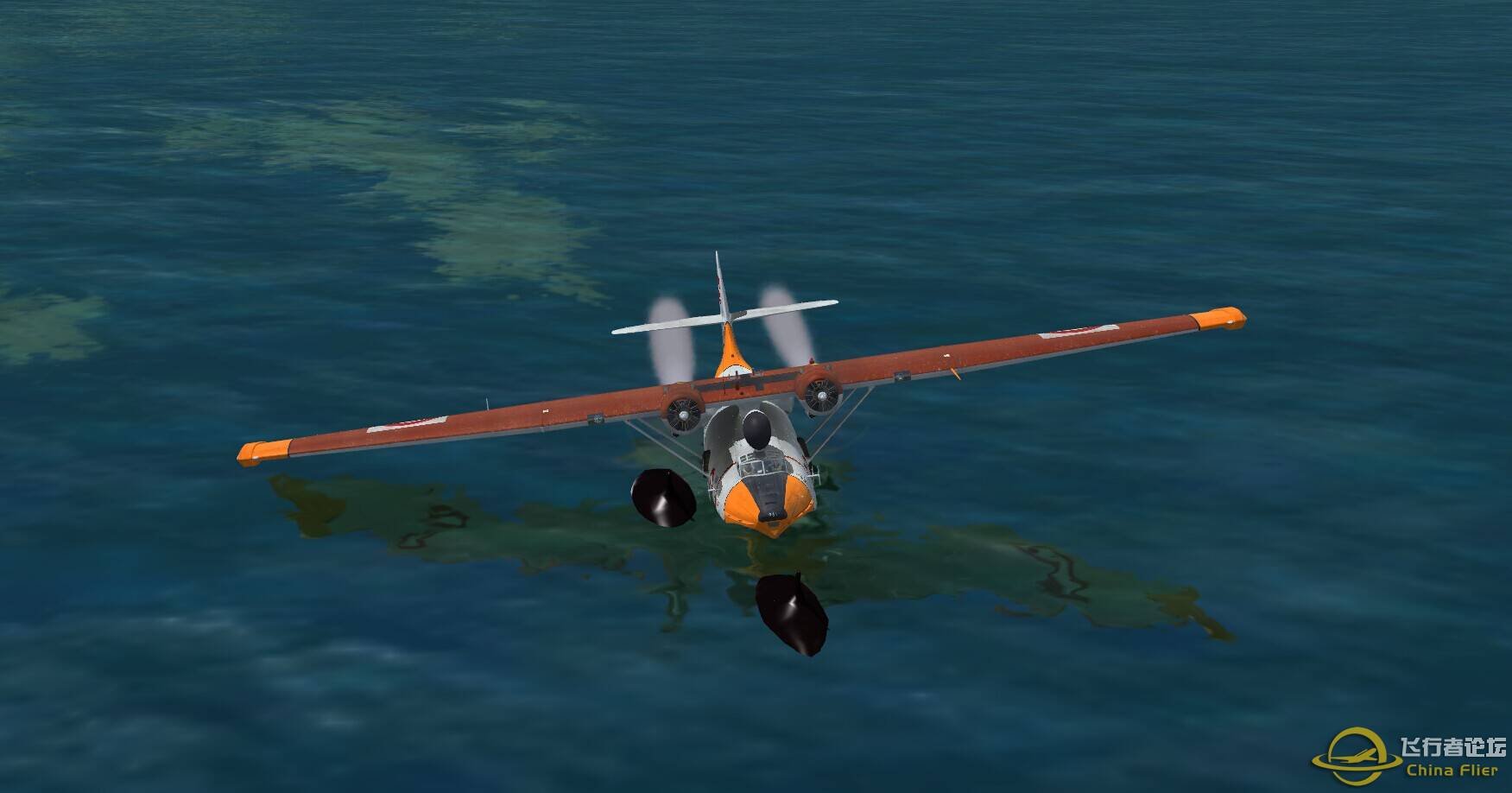 逆戟鲸岛的鲸鱼-1709 