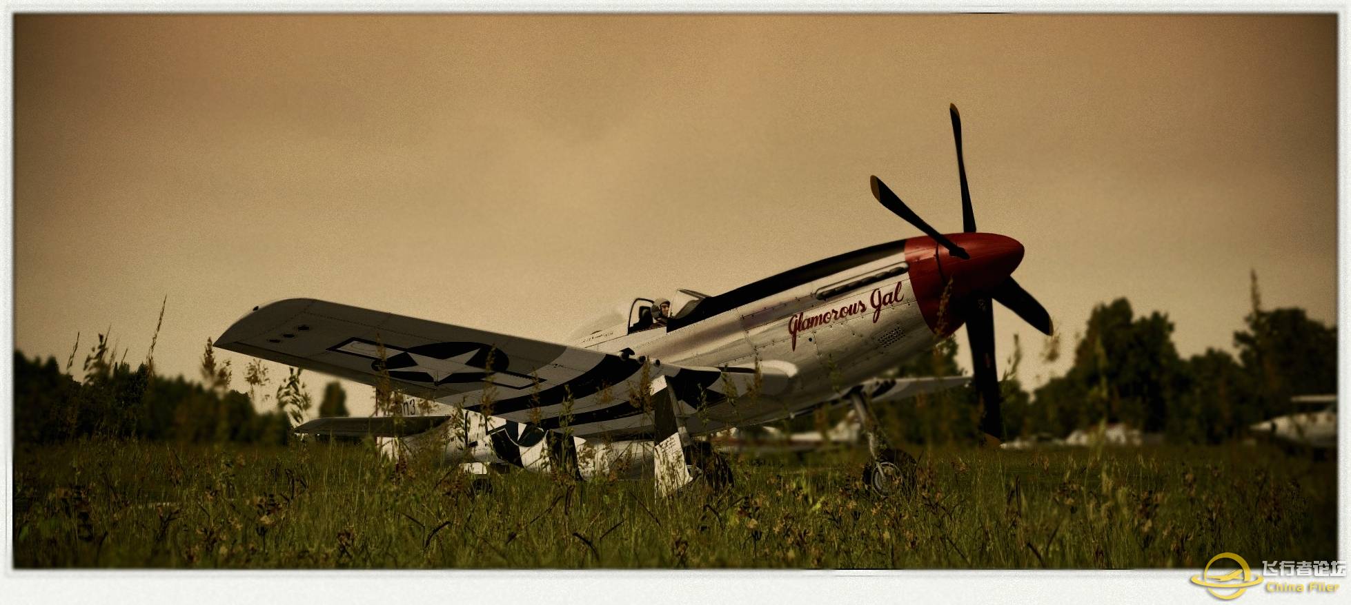 天马行空 P-51D野马-2839 