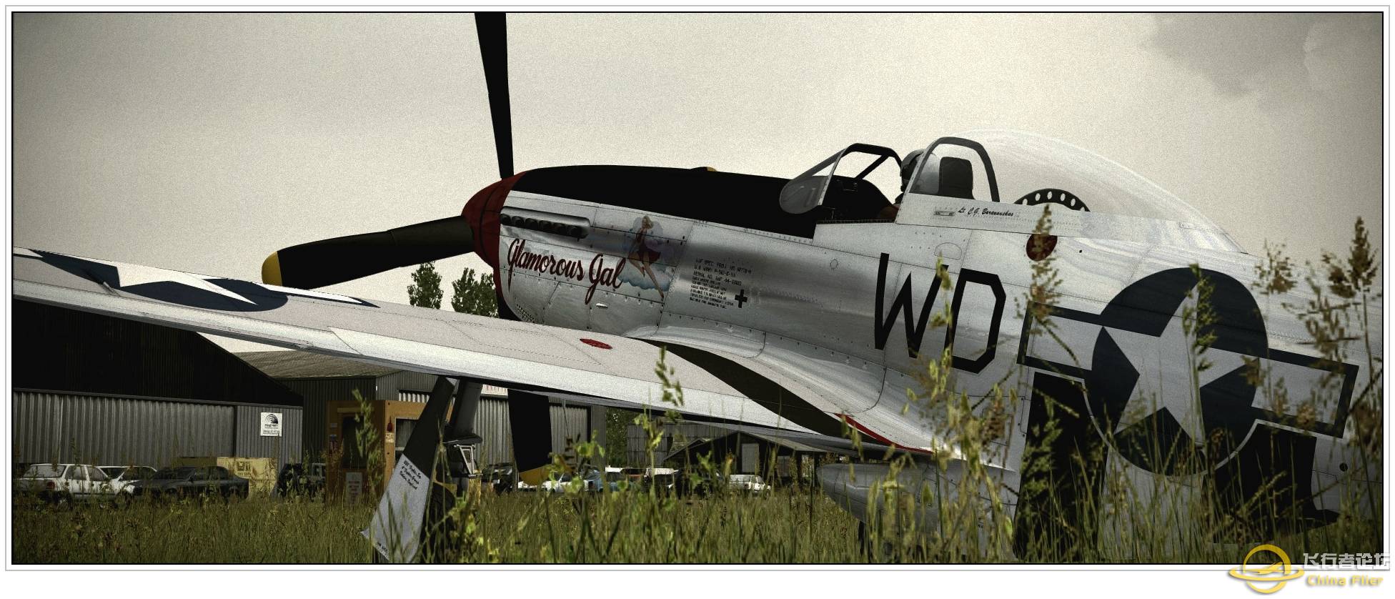 天马行空 P-51D野马-8694 