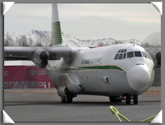 Just Planes 系列视频 ---- 林登航空货运 - L-382G-3420 