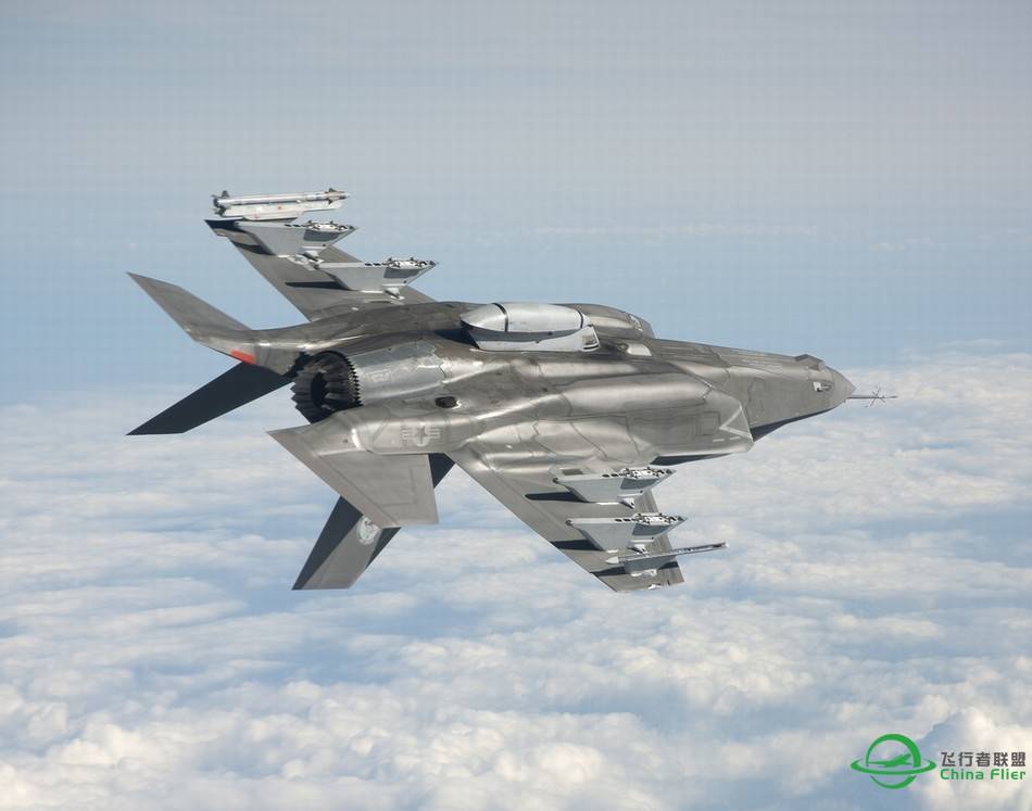 F-35真假难辨-1341 