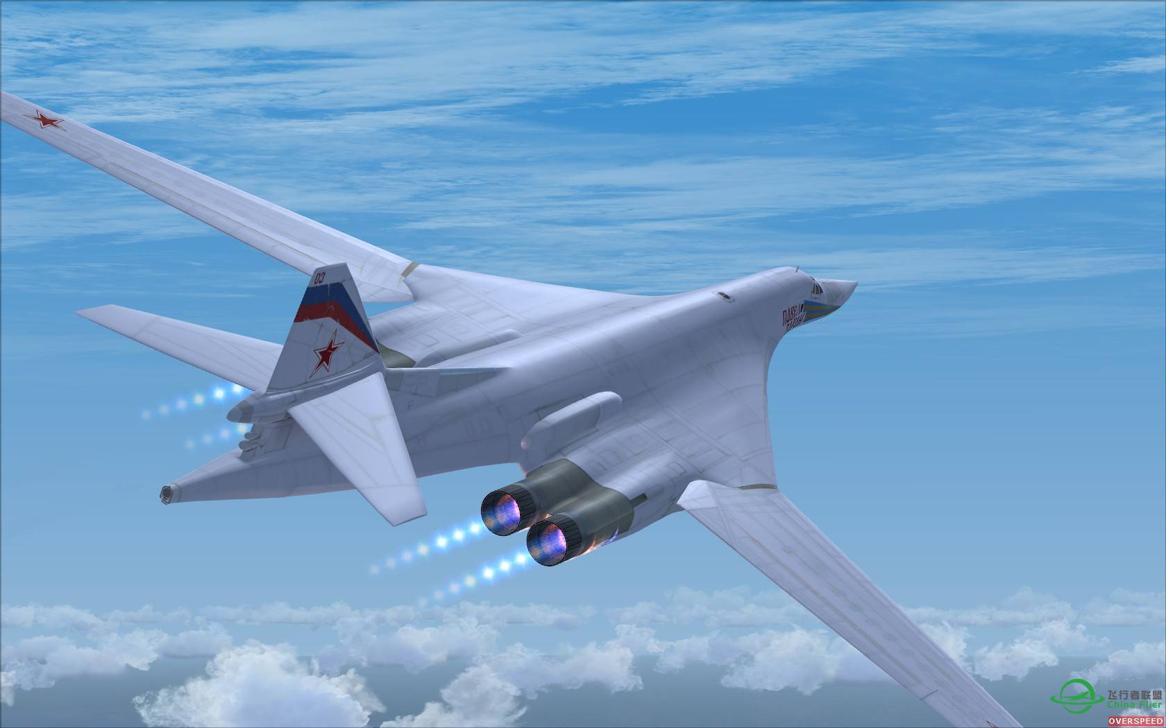 大鹏展翅海盗旗-4637 