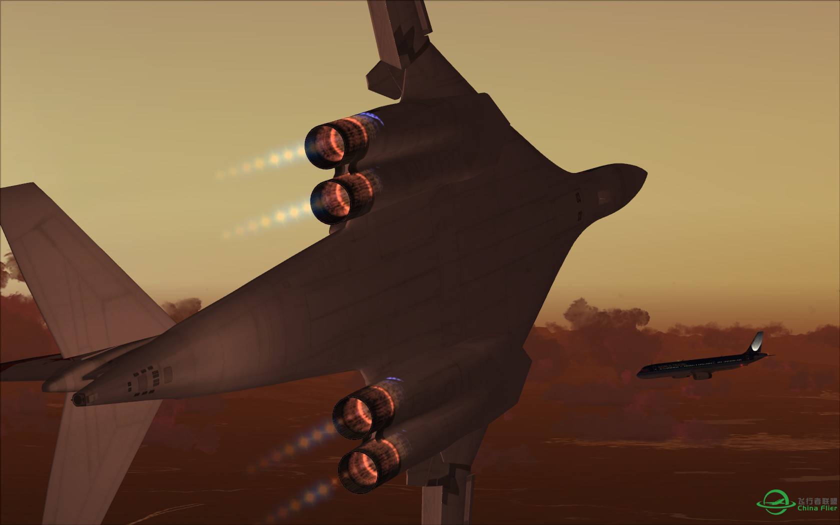 大鹏展翅海盗旗-9855 