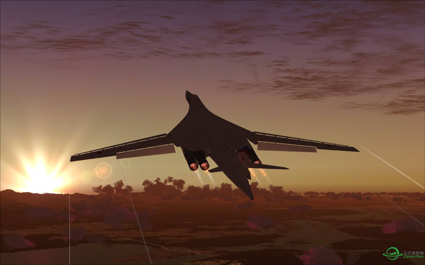 大鹏展翅海盗旗-8803 