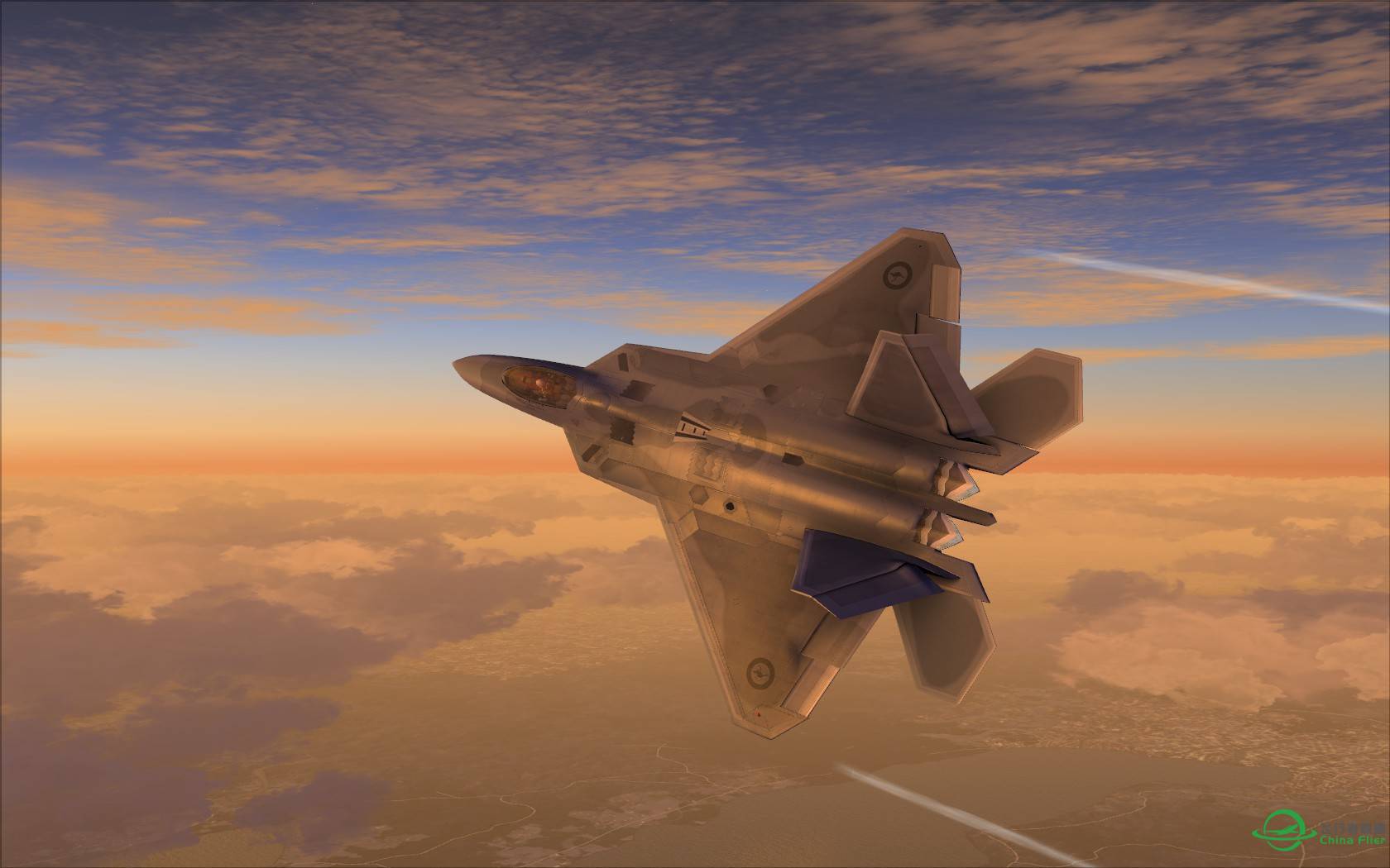 猛禽的黎明黄昏与白昼-3798 