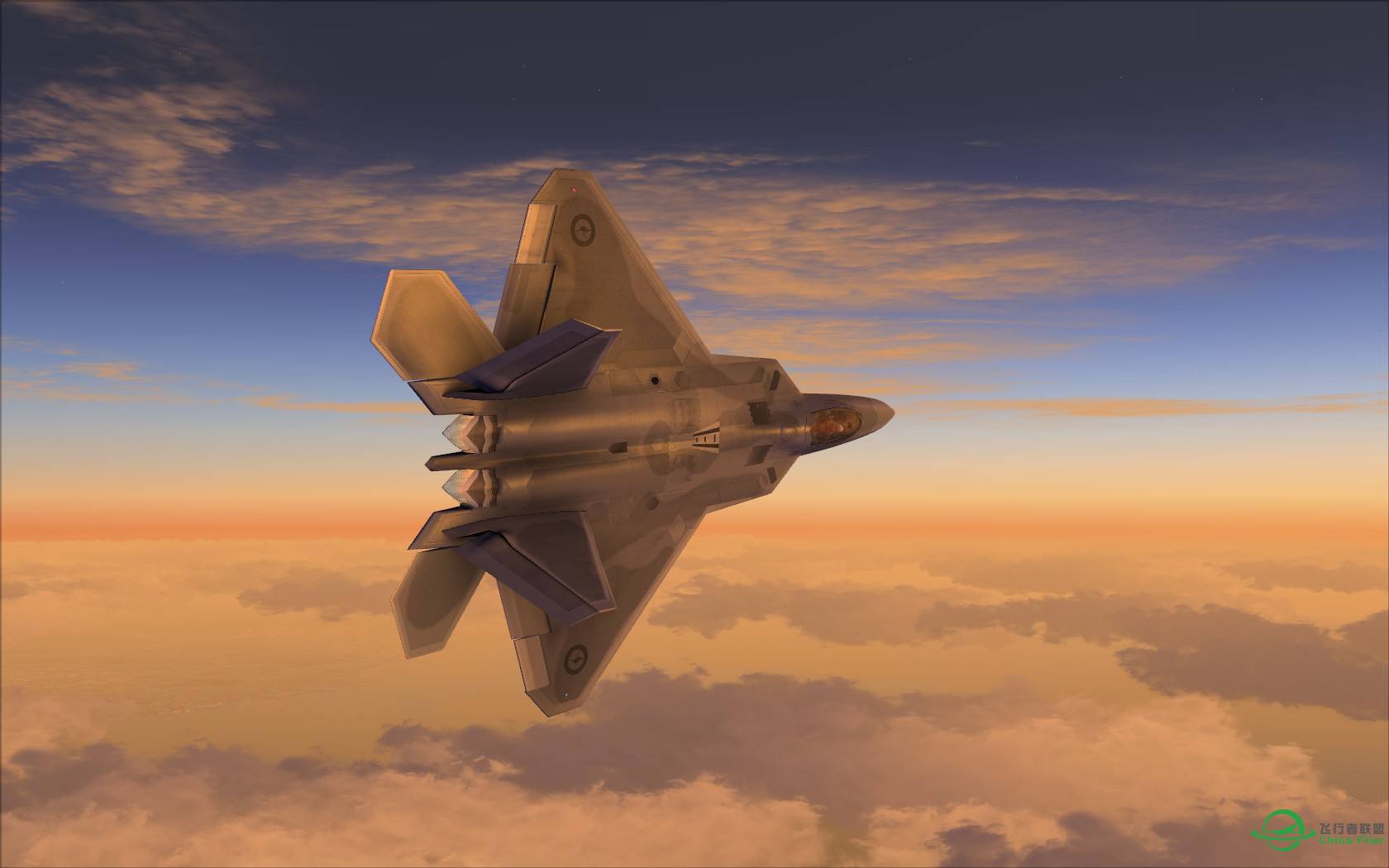 猛禽的黎明黄昏与白昼-7540 