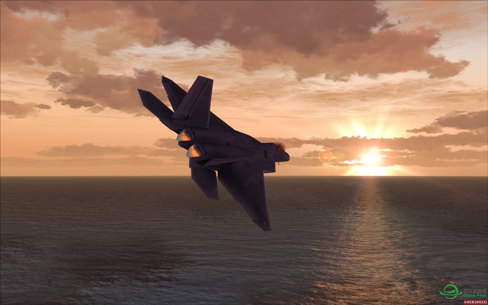 猛禽的黎明黄昏与白昼-4402 