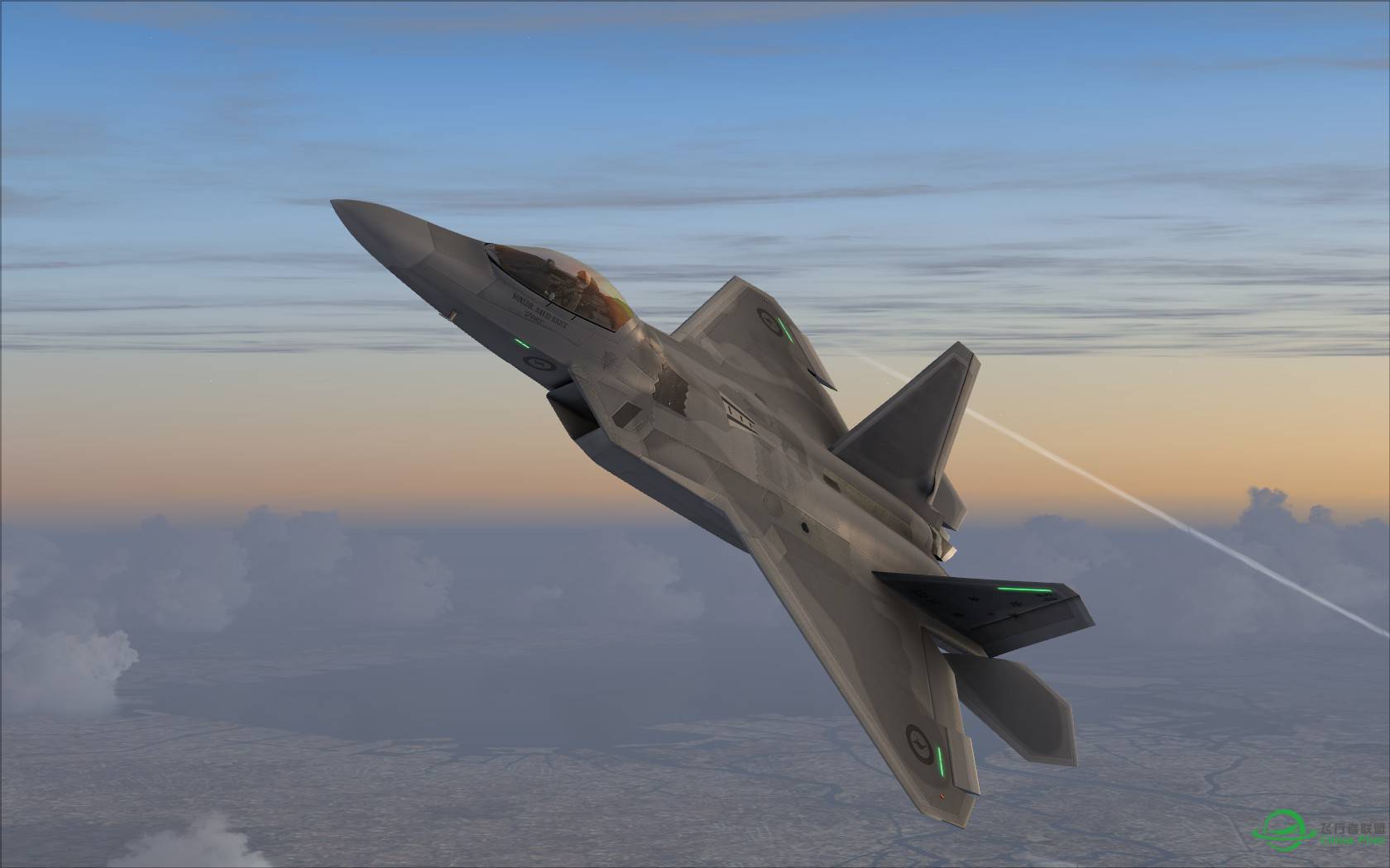 猛禽的黎明黄昏与白昼-3102 