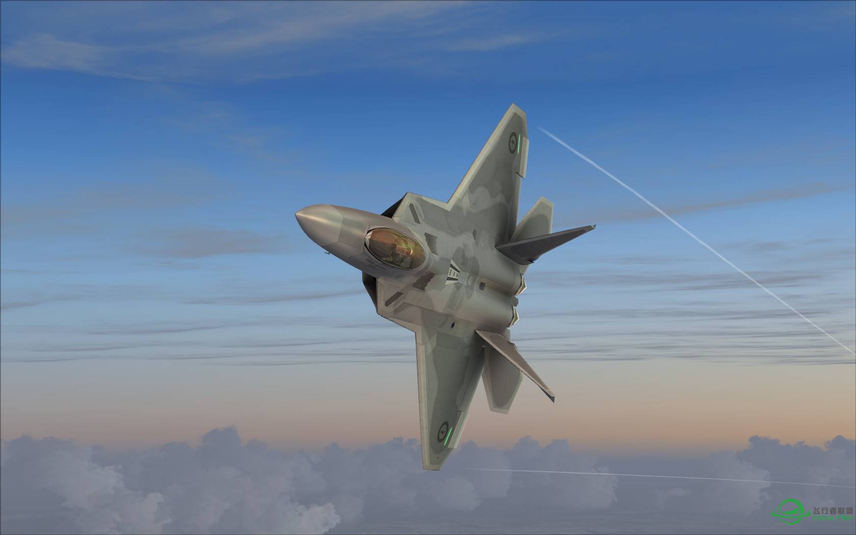 猛禽的黎明黄昏与白昼-3289 