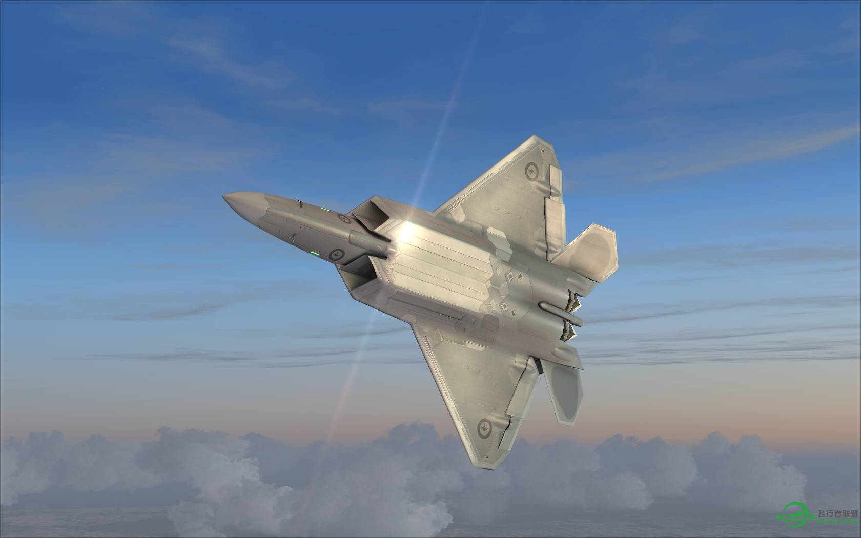 猛禽的黎明黄昏与白昼-6392 