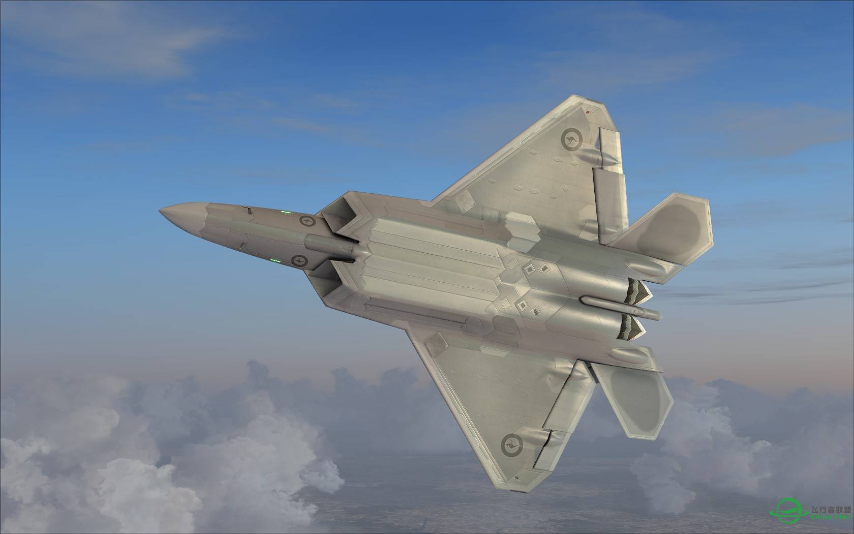 猛禽的黎明黄昏与白昼-9042 