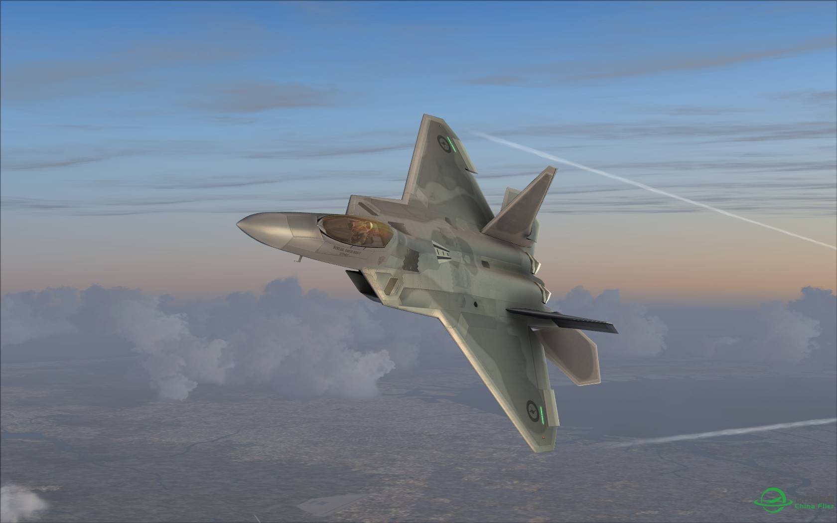 猛禽的黎明黄昏与白昼-7808 