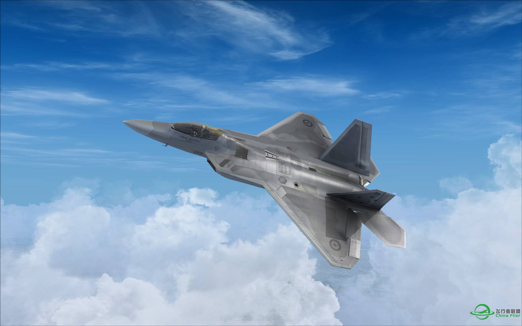 猛禽的黎明黄昏与白昼-1480 