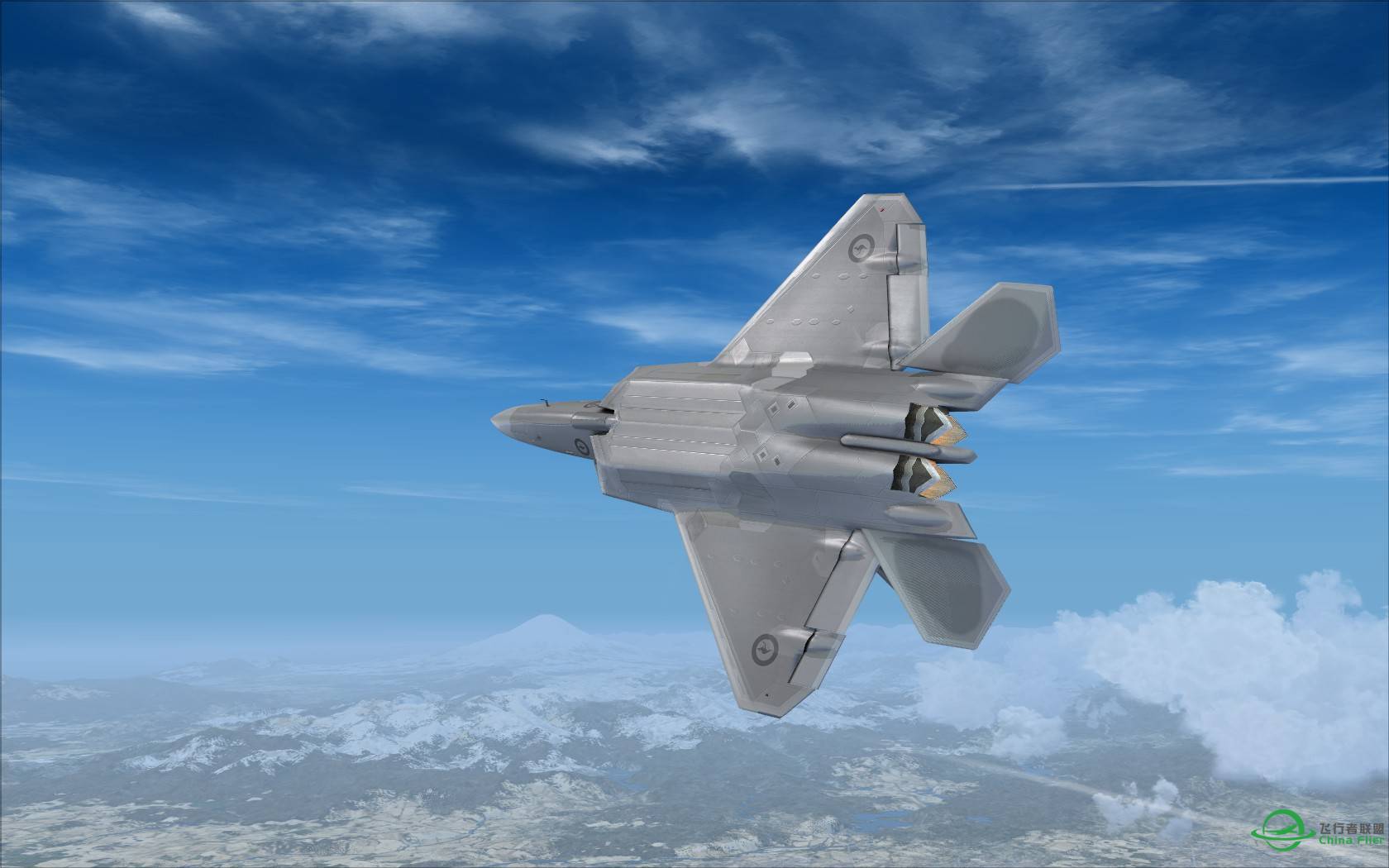 猛禽的黎明黄昏与白昼-4588 