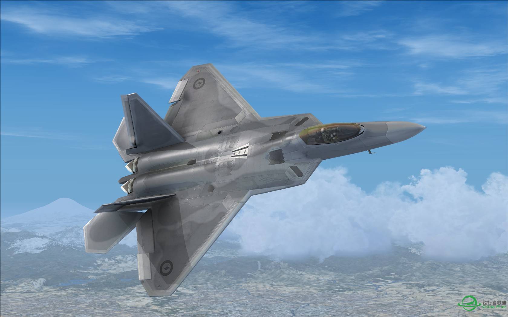 猛禽的黎明黄昏与白昼-4510 