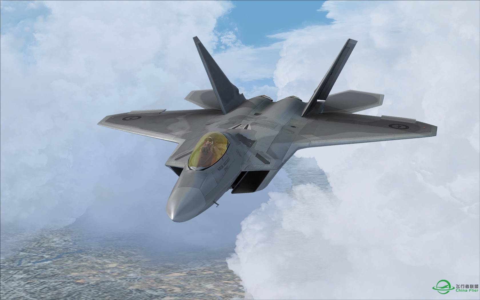 猛禽的黎明黄昏与白昼-5882 