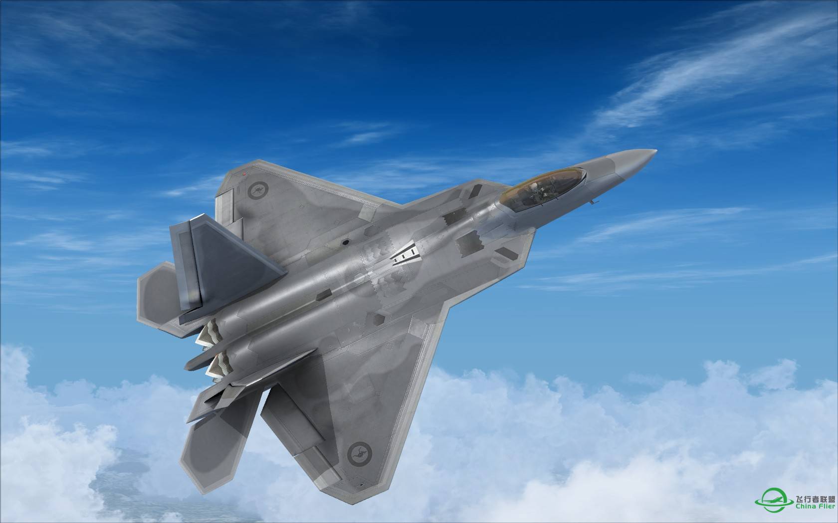 猛禽的黎明黄昏与白昼-719 