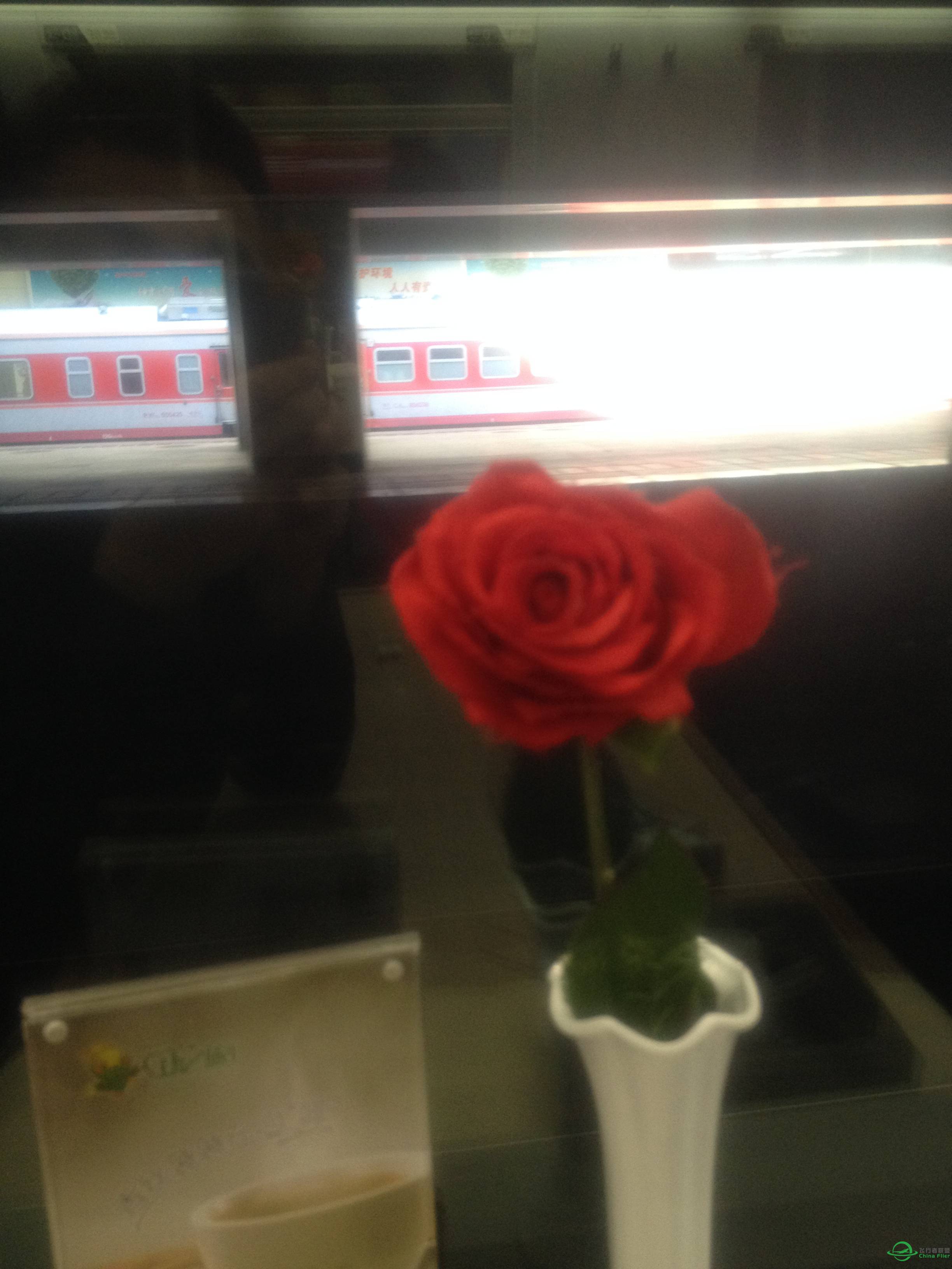 【飞友聚会】山东、北京、重庆历时47天的旅行。-3911 