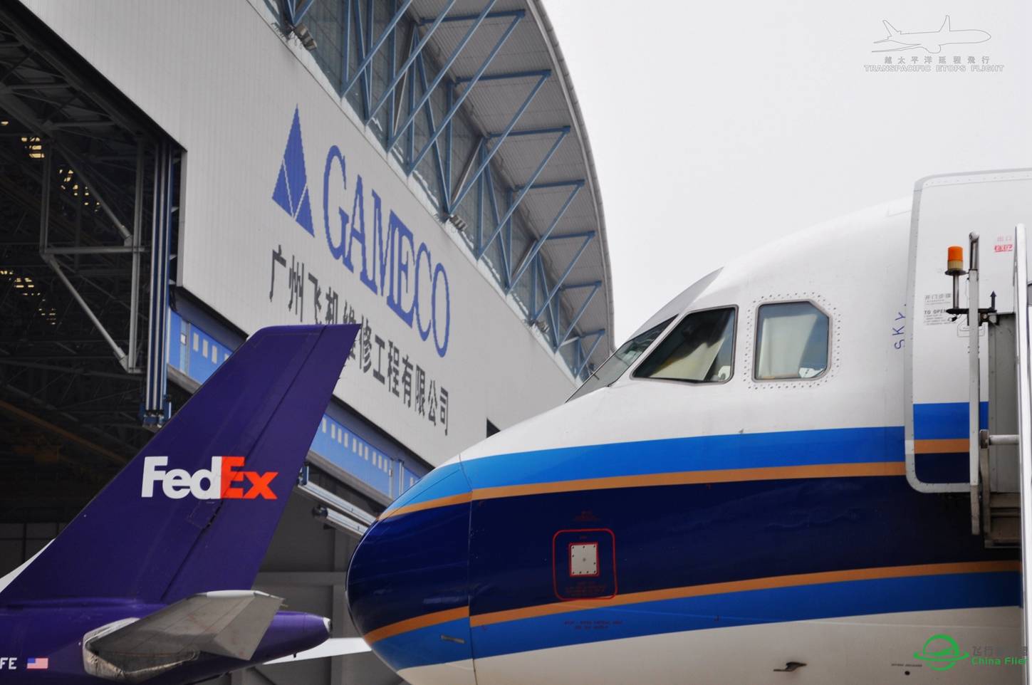 随便发点图-3450 