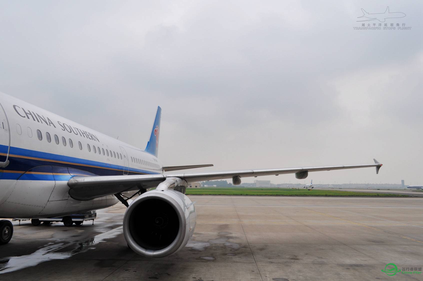 随便发点图-6006 