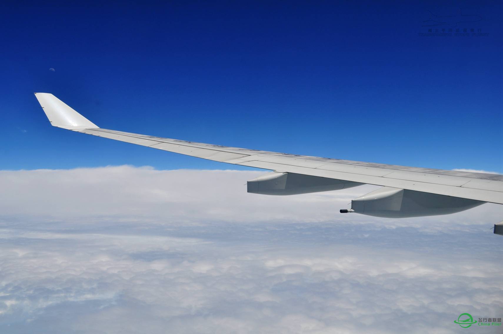 随便发点图-8481 