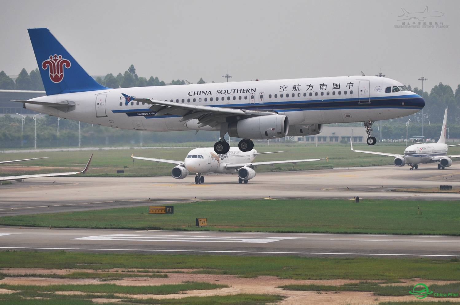 随便发点图-2525 