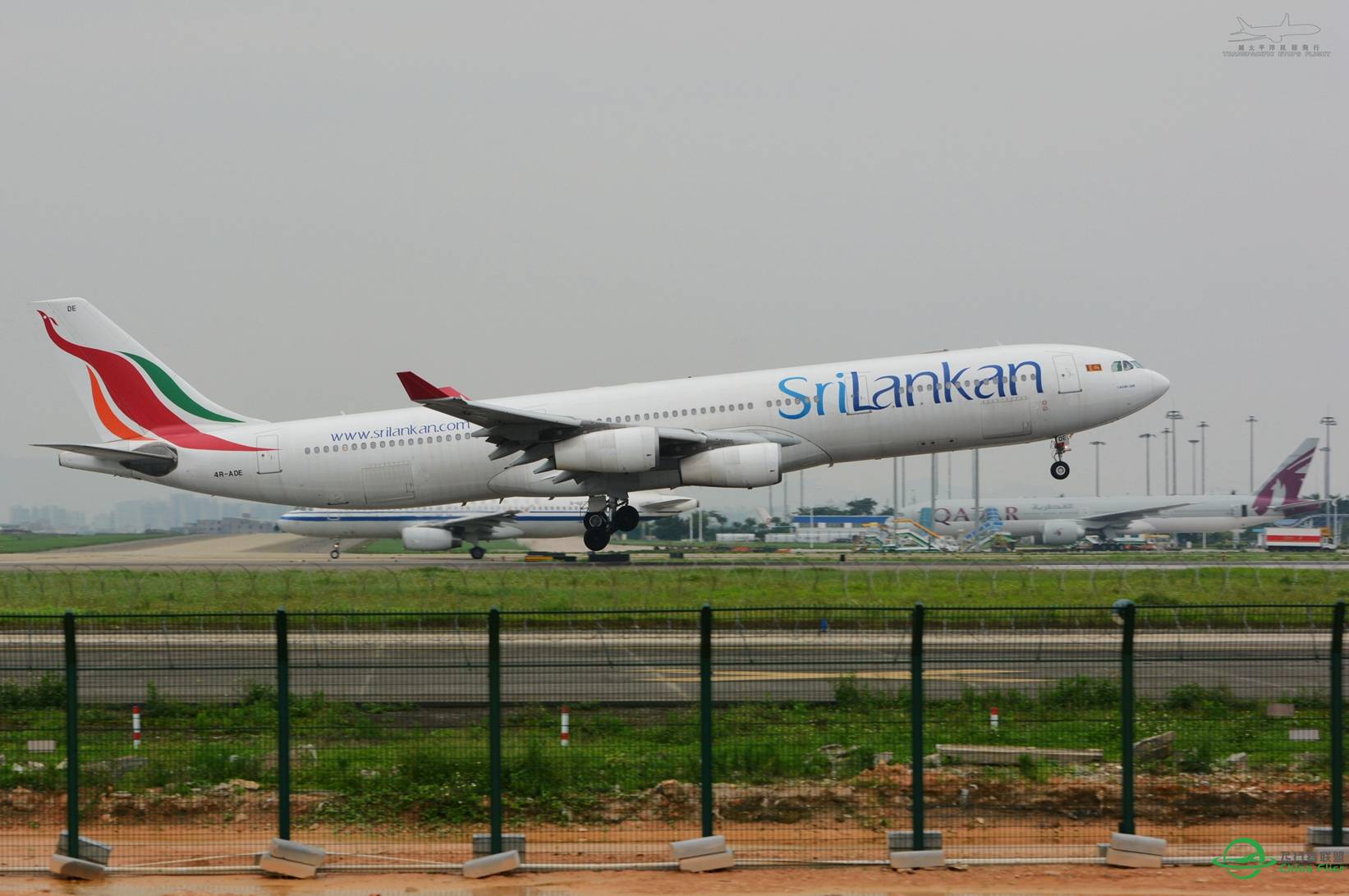 随便发点图-8759 