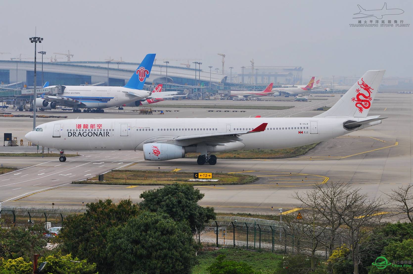 随便发点图-4960 
