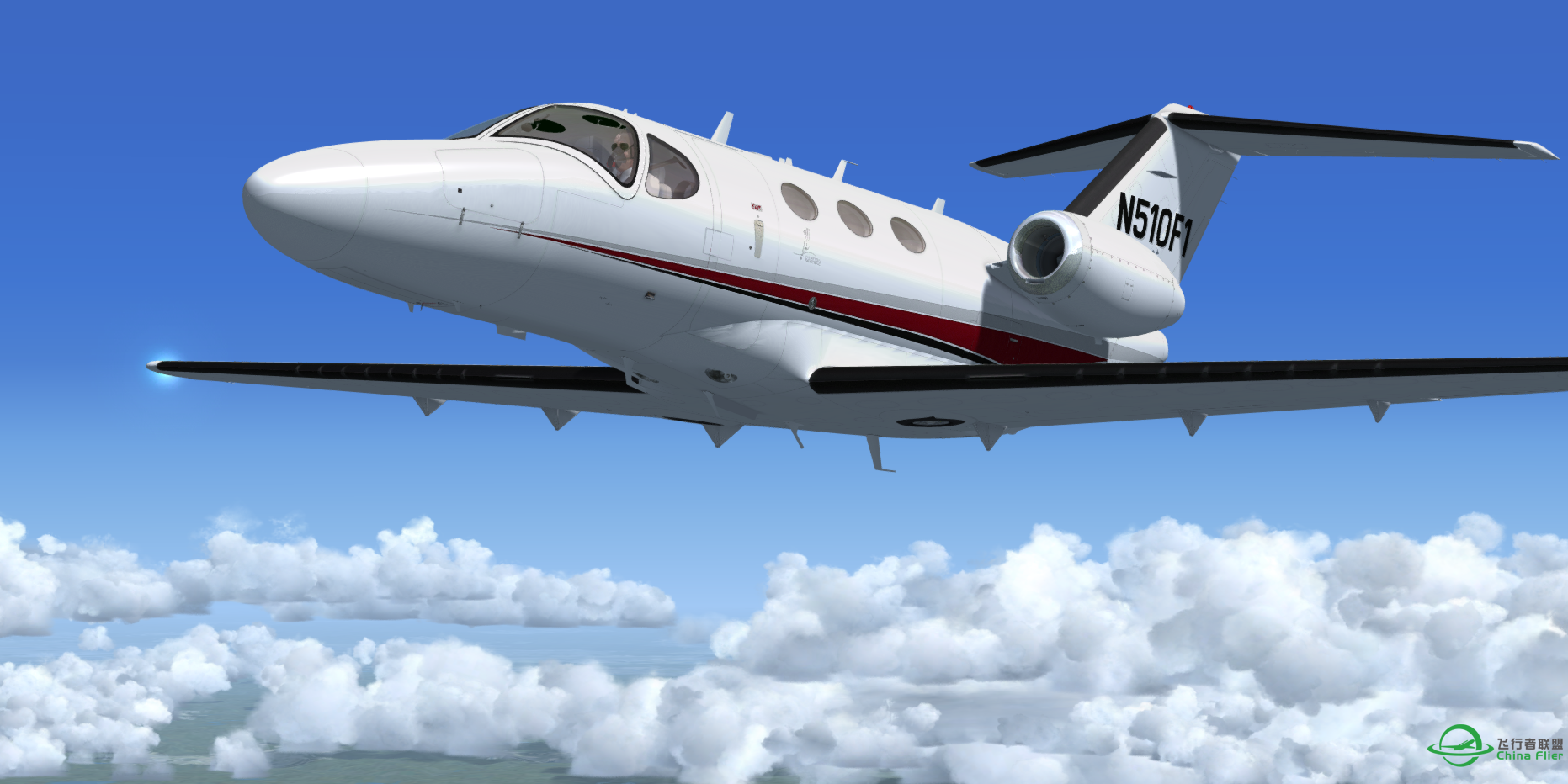 美丽的小赛-8360 