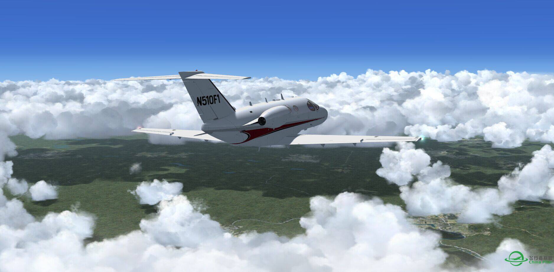 美丽的小赛-9772 