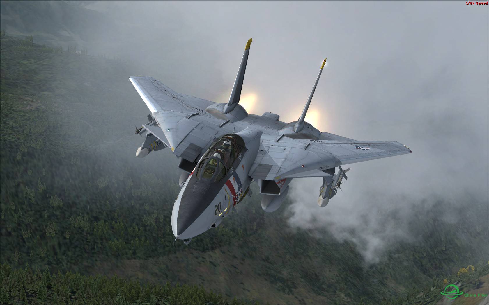 很有气势的AEROSOFT F-14X.-3222 