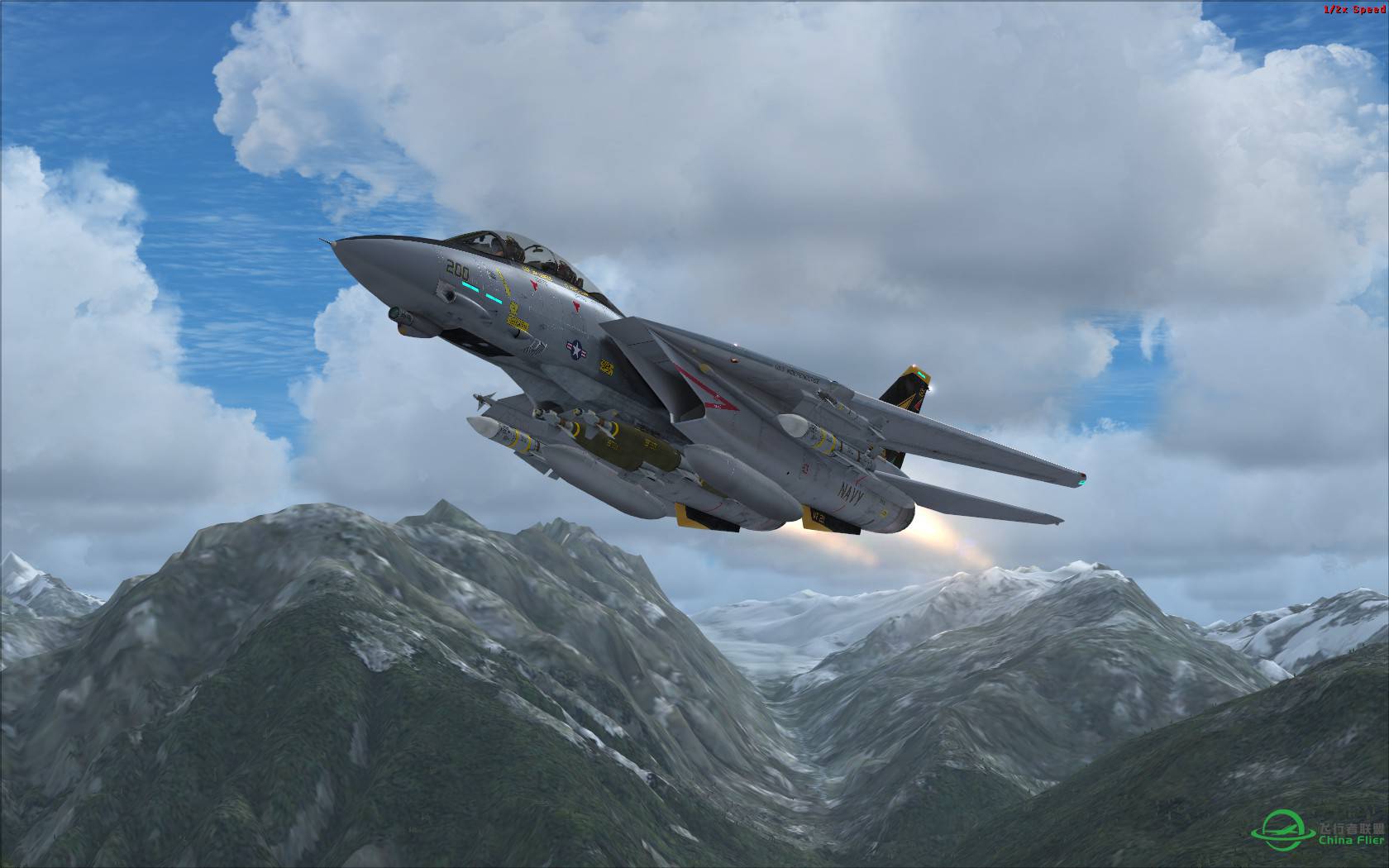 很有气势的AEROSOFT F-14X.-1230 