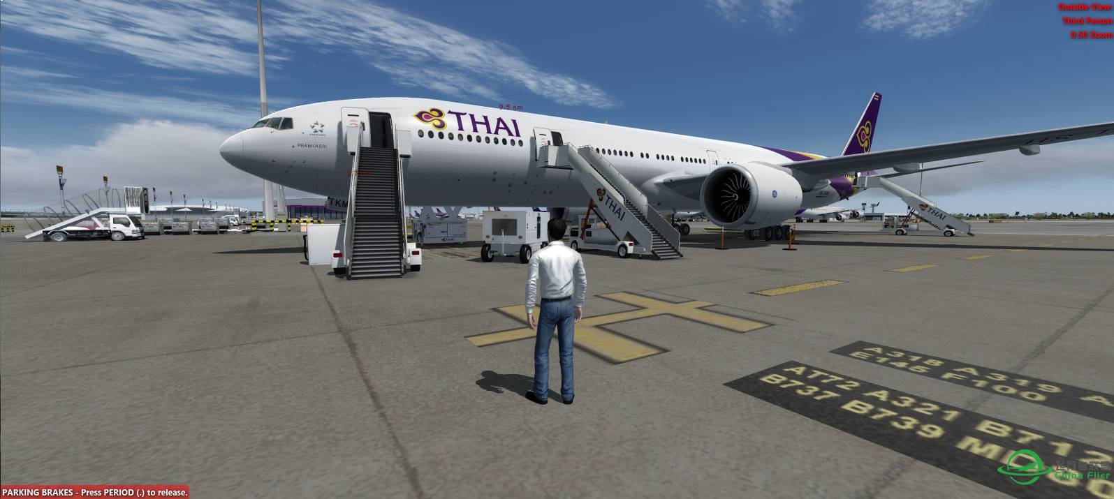 P3Dv3 泰美丽的主场-4502 