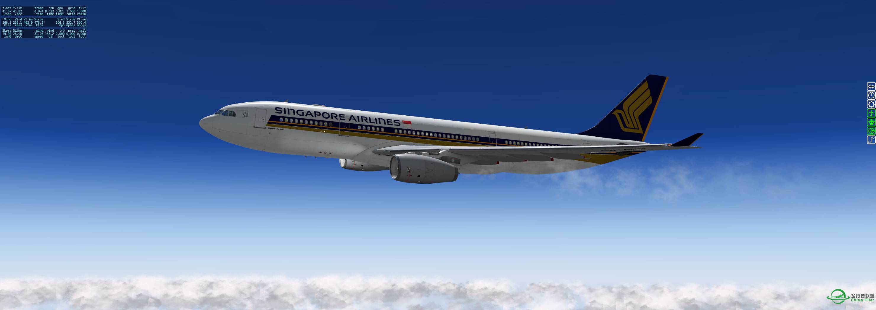 Singapore Airlines-1725 