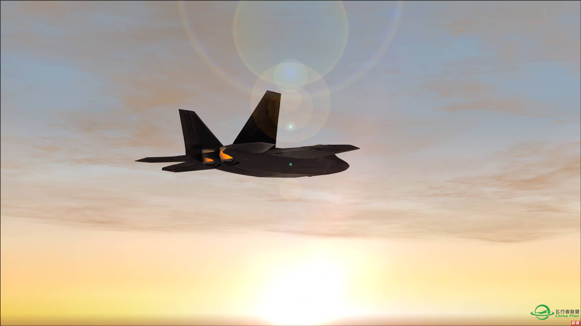 法国上空的猛禽 【6P】-3559 