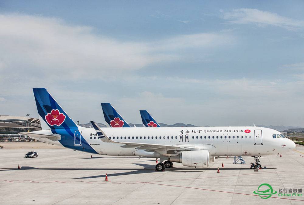 原创第六弹：青岛航空空客A320-3769 
