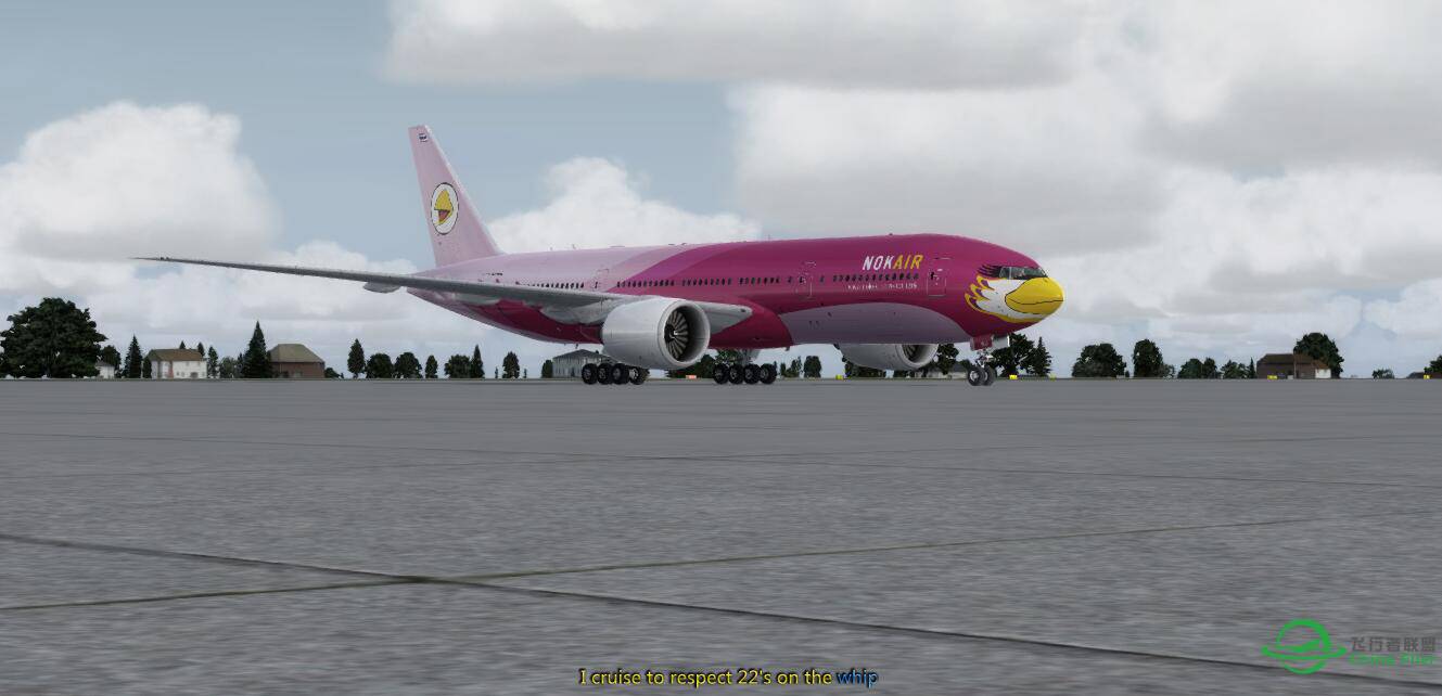 虚拟泰国鸟航建立收人-9502 
