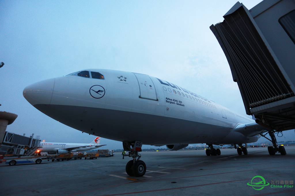 刚出锅一小时的图：汉莎空客A340-300-3636 