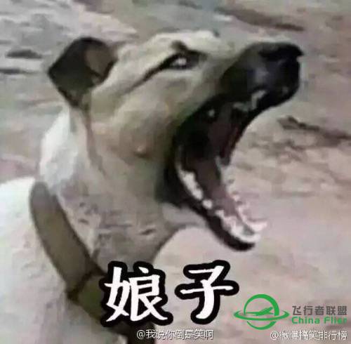 关于ixeg 737  ILS盲降问题-7015 