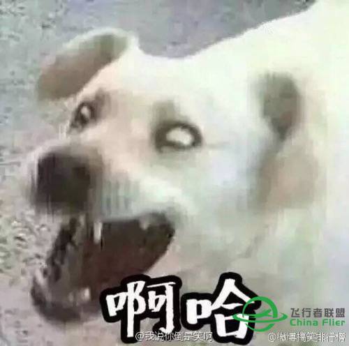 关于ixeg 737  ILS盲降问题-3402 