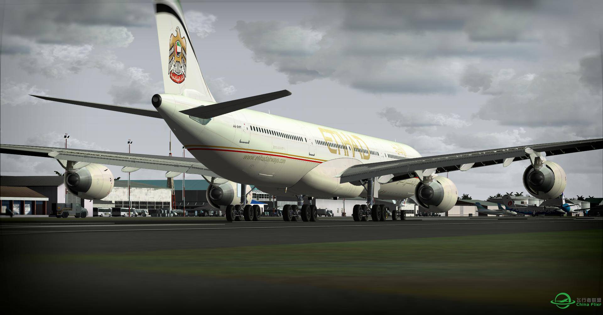 521 阿提哈德大长棍A346 马尔代夫 中东之旅【“游”感】-5430 