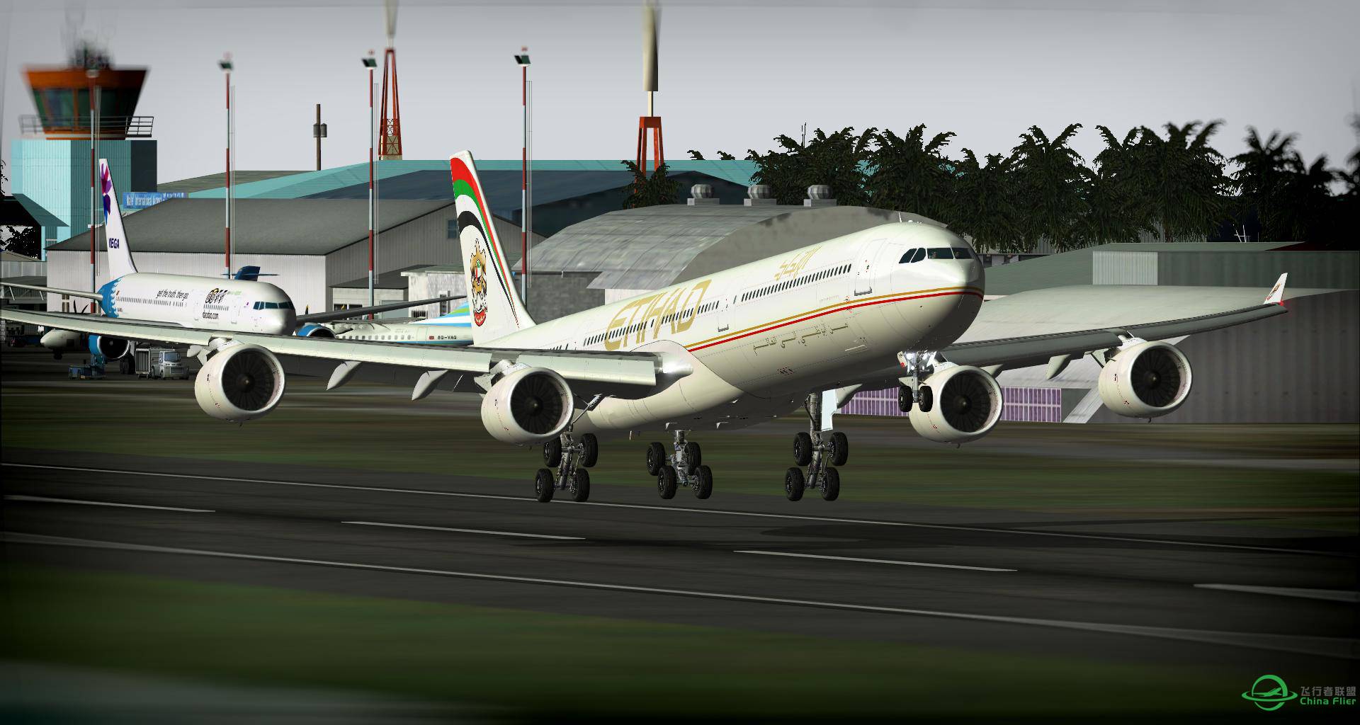 521 阿提哈德大长棍A346 马尔代夫 中东之旅【“游”感】-3759 