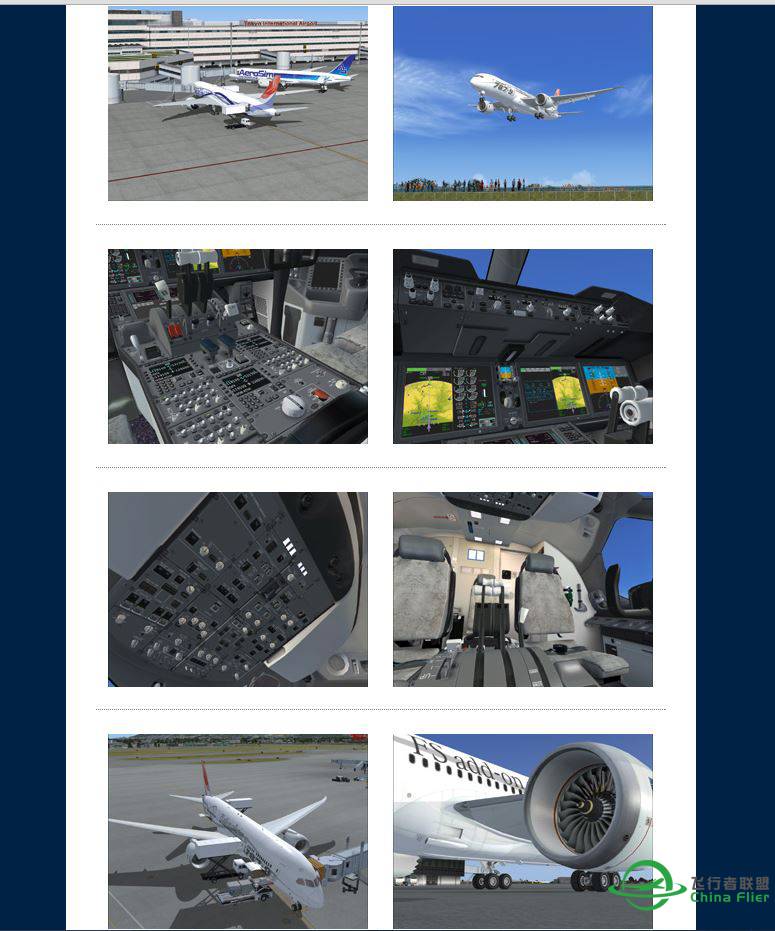 日本人做了个787-9-8132 