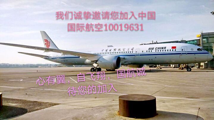中国国际航空招收飞行学员-2377 