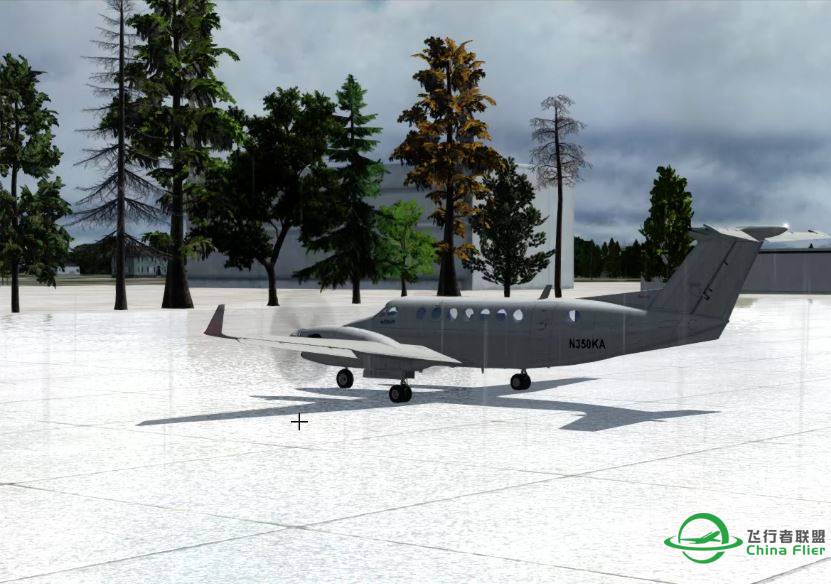 P3D speedtrees speedgrass-4561 