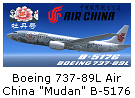 国航牡丹涂装集合-8837 